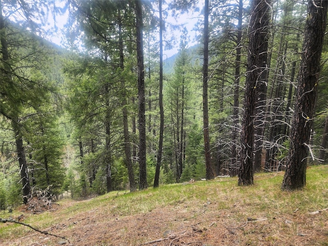 NHN Silver Butte Rd, Libby, MT 59923