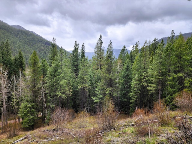 NHN Silver Butte Rd, Libby, MT 59923