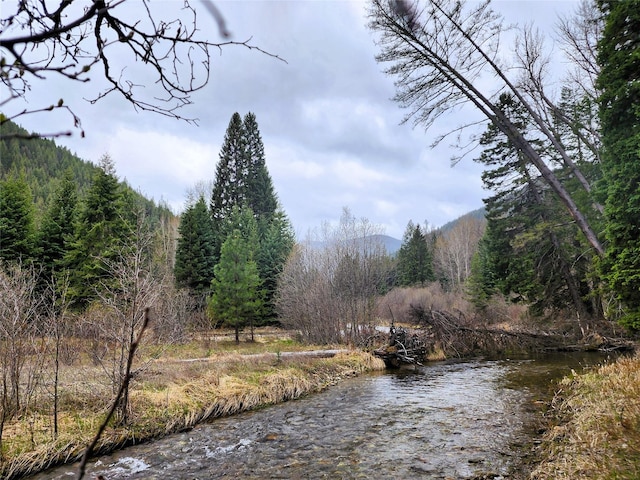 NHN Silver Butte Rd, Libby, MT 59923
