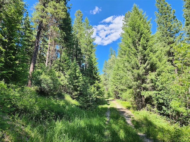 Listing photo 3 for NHN Silver Butte Road, Libby MT 59923