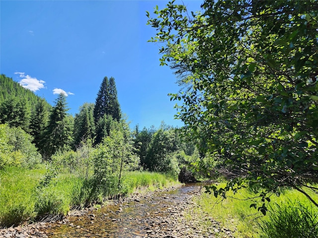 NHN Silver Butte Rd, Libby, MT 59923