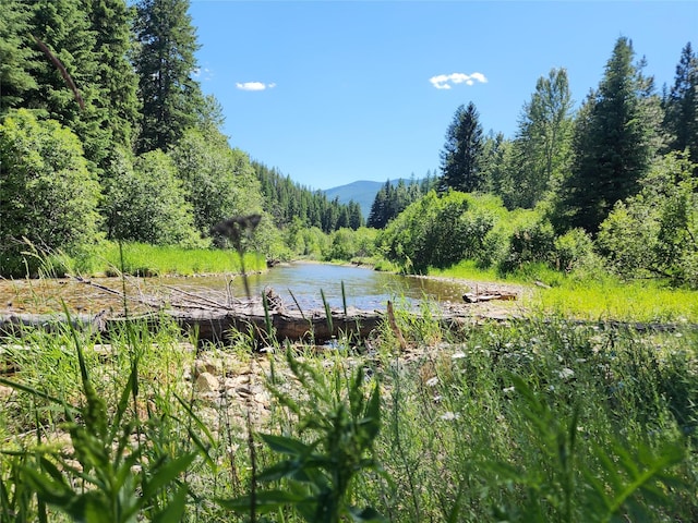 NHN Silver Butte Rd, Libby, MT 59923