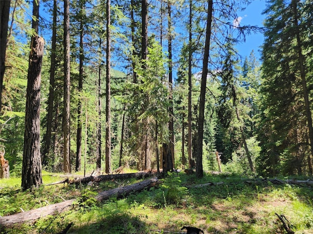 NHN Silver Butte Rd, Libby, MT 59923