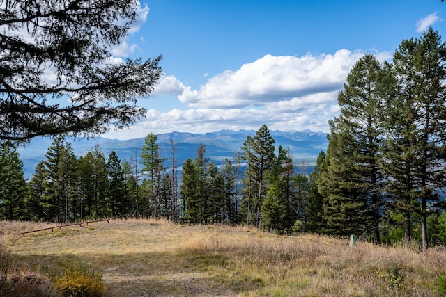 view of mountain feature