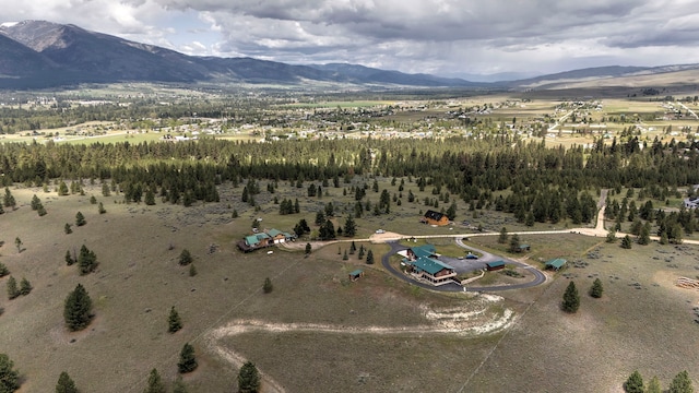 drone / aerial view featuring a mountain view