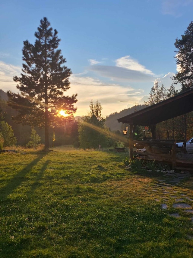 view of yard at dusk