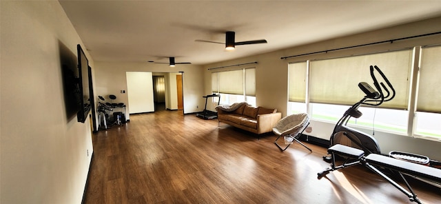 workout room with ceiling fan and hardwood / wood-style flooring