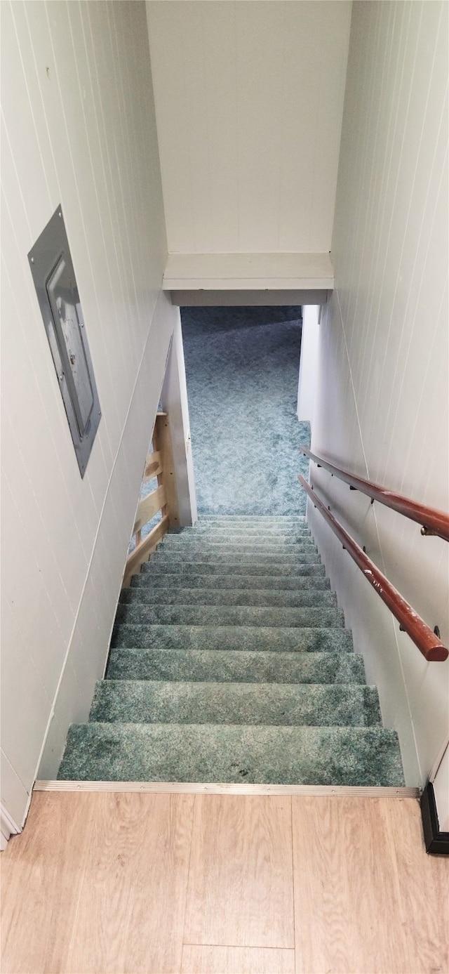 staircase with carpet