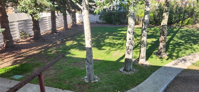 view of yard