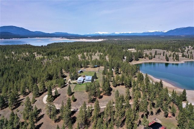 3653 Sophie Lake Rd, Eureka, MT 59917 - bird's eye view of a forest and a water and mountain view