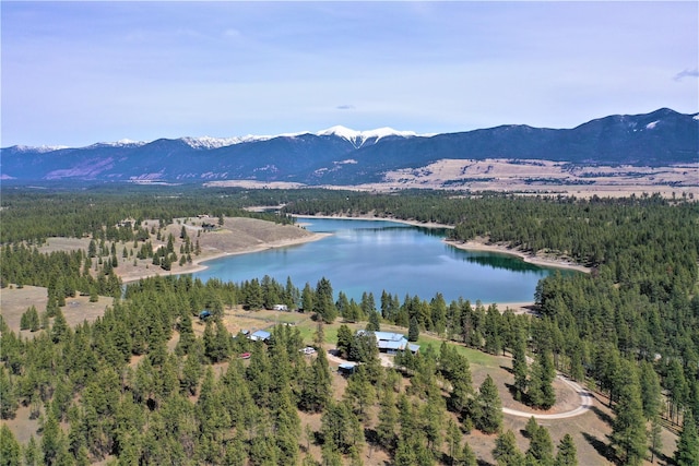 3653 Sophie Lake Rd, Eureka, MT 59917 - bird's eye view of a forest and a water and mountain view