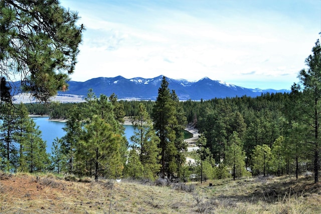 3653 Sophie Lake Rd, Eureka, MT 59917 - mountain view with a heavily wooded area and a large body of water