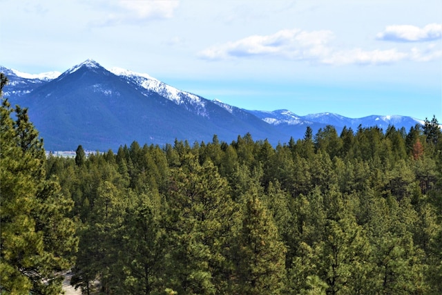 3653 Sophie Lake Rd, Eureka, MT 59917 - mountain view with a heavily wooded area