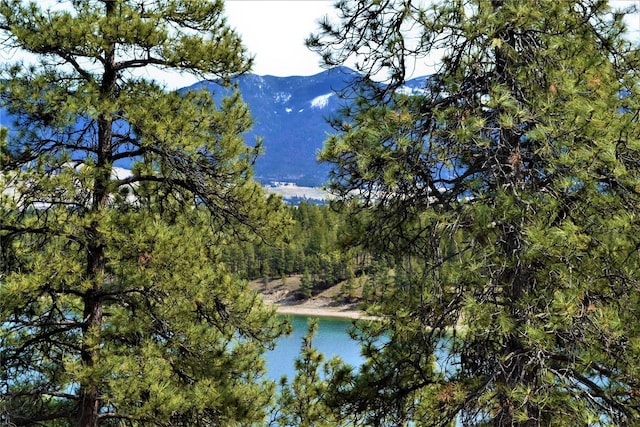 3653 Sophie Lake Rd, Eureka, MT 59917 - water view with a mountain backdrop and a heavily wooded area