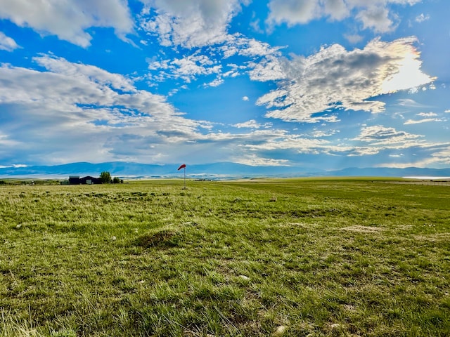 view of local wilderness with a rural view