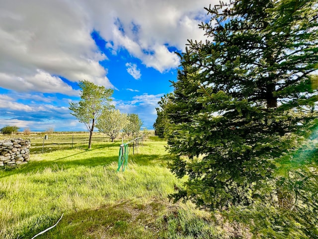 view of yard with a rural view