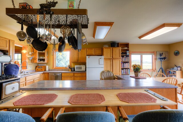 kitchen with a healthy amount of sunlight, appliances with stainless steel finishes, and sink