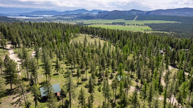 birds eye view of property with a mountain view