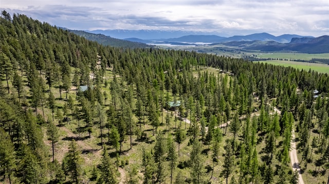 view of mountain feature