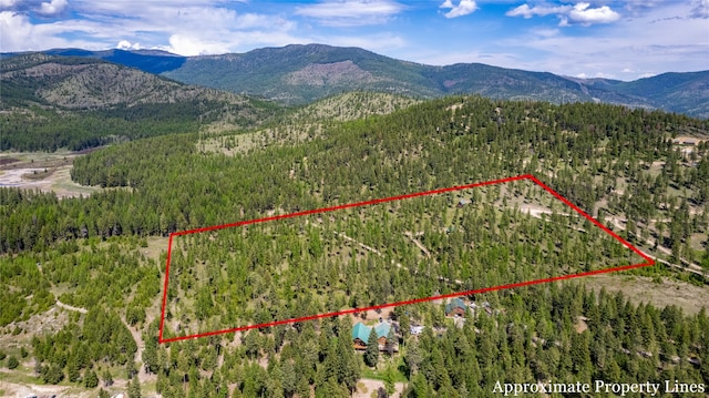 birds eye view of property with a mountain view