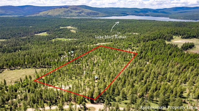 birds eye view of property featuring a mountain view