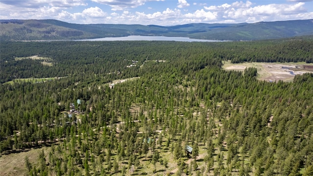 aerial view featuring a mountain view