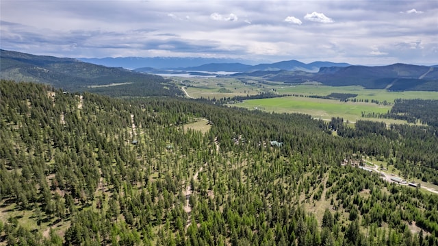 view of mountain feature