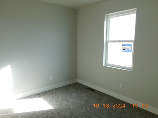 carpeted empty room with a wealth of natural light