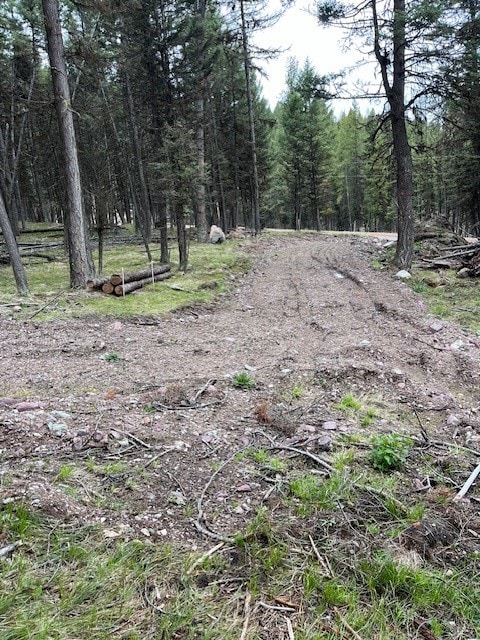 120 Elkhorn Rd, Seeley Lake MT, 59868 land for sale