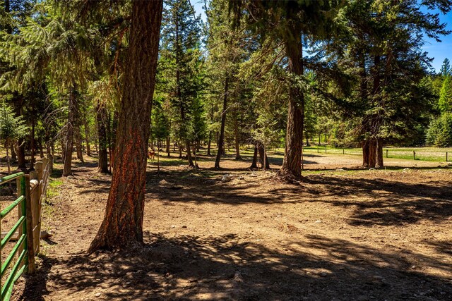 1200 Lost Creek Dr, Kalispell, MT 59901 - view of nature