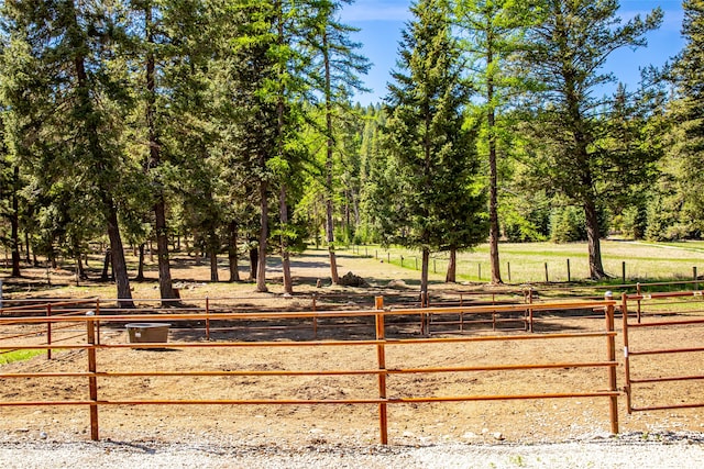 view of yard featuring a rural view