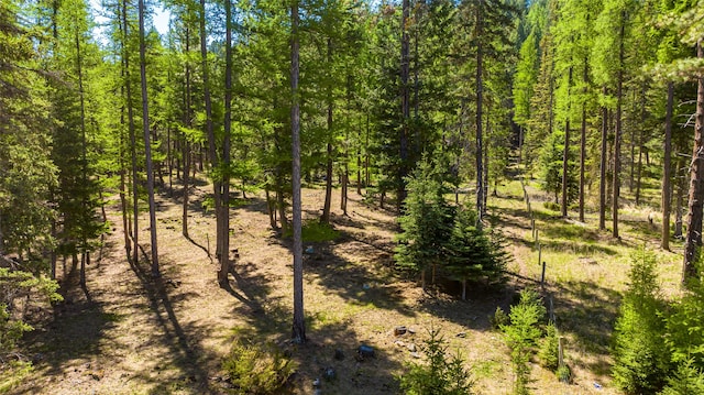 view of local wilderness featuring a forest view