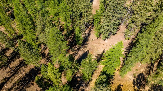 1200 Lost Creek Dr, Kalispell, MT 59901 - bird's eye view