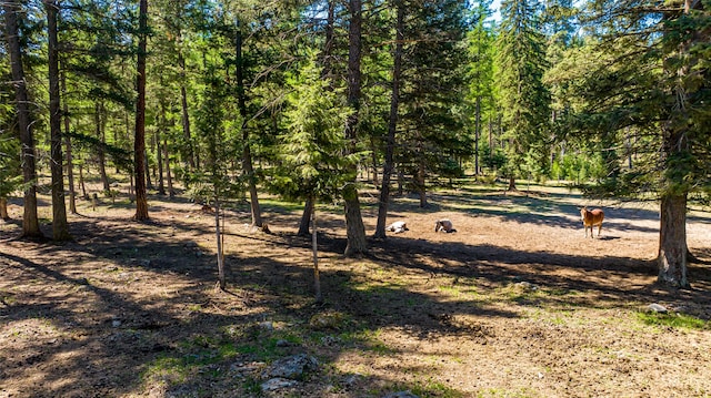 view of landscape with a view of trees