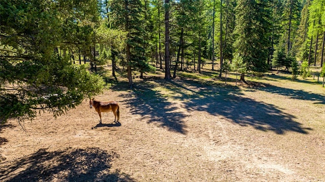 1200 Lost Creek Dr, Kalispell, MT 59901 - view of yard