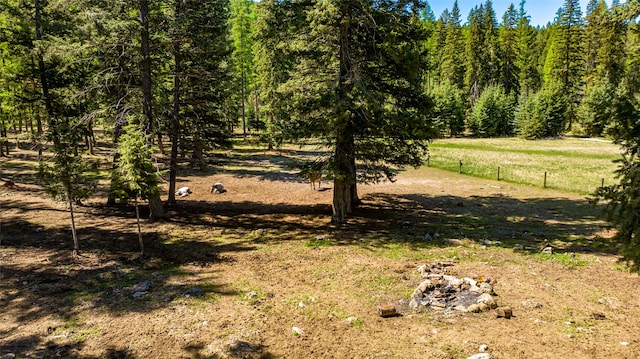 view of nature with a wooded view