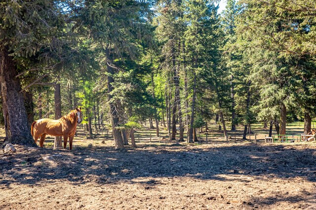 1200 Lost Creek Dr, Kalispell, MT 59901 - view of undeveloped land