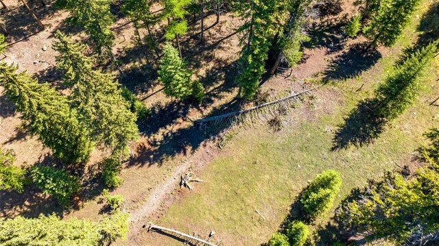1200 Lost Creek Dr, Kalispell, MT 59901 - bird's eye view