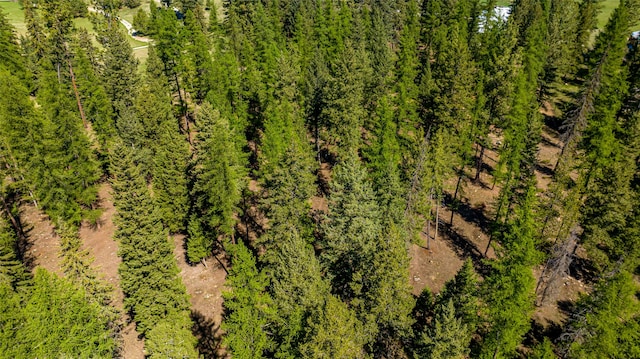 aerial view featuring a wooded view