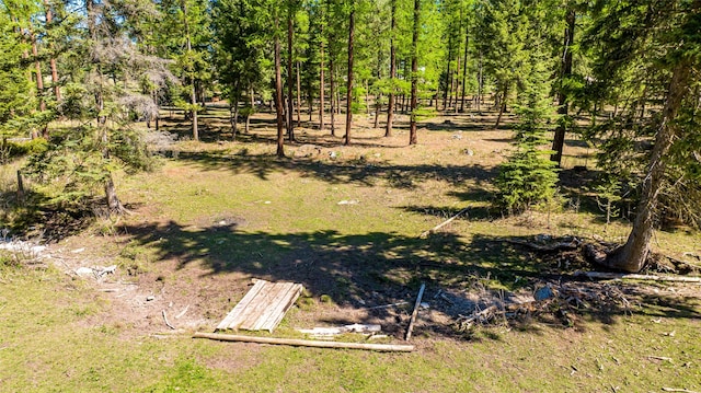 1200 Lost Creek Dr, Kalispell, MT 59901 - view of yard