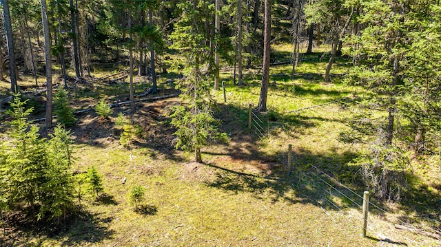 view of nature with a wooded view