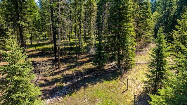 view of local wilderness with a wooded view