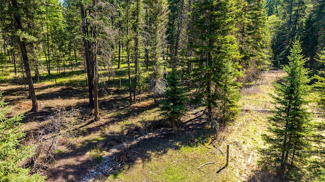 view of local wilderness featuring a view of trees