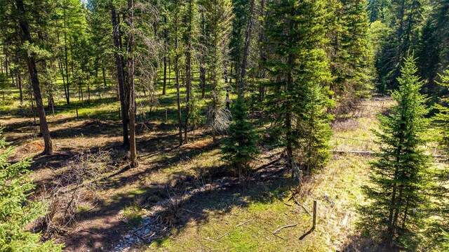 1200 Lost Creek Dr, Kalispell, MT 59901 - view of local wilderness
