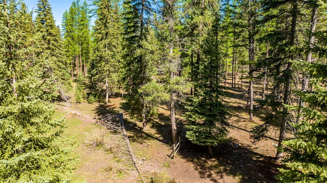 view of landscape with a forest view