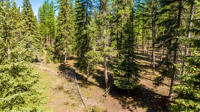1200 Lost Creek Dr, Kalispell, MT 59901 - view of tree filled area