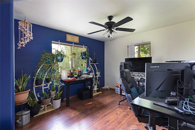 home office with ceiling fan and hardwood / wood-style floors