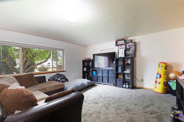 living room featuring carpet floors