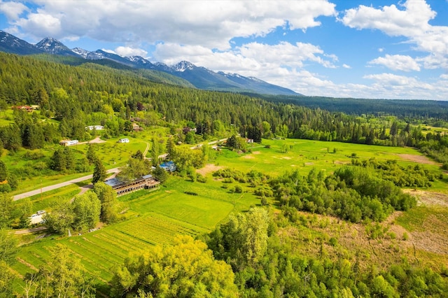 birds eye view of property with a mountain view