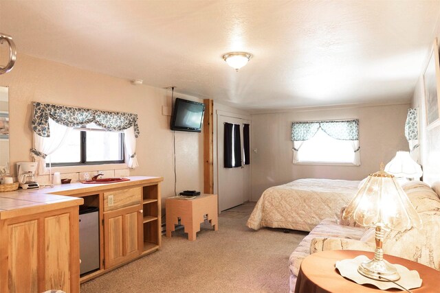 283 Lost Trail Hot Springs Rd, Sula, MT 59871 - view of carpeted bedroom